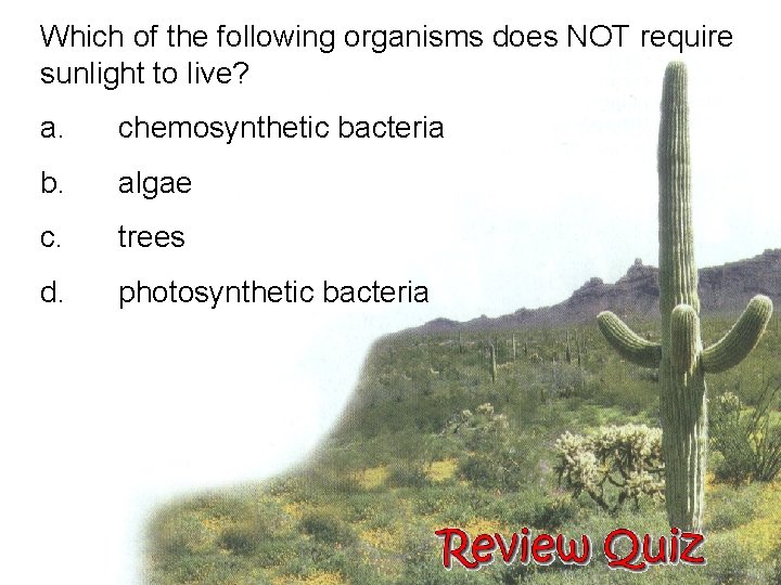 Which of the following organisms does NOT require sunlight to live? a. chemosynthetic bacteria