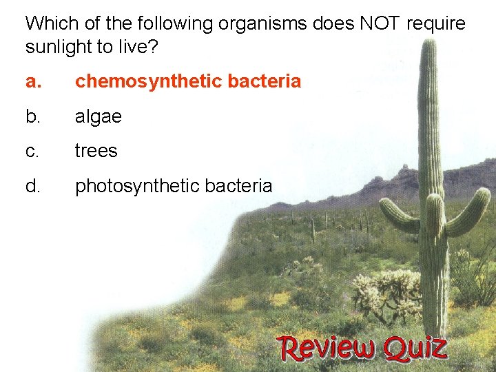 Which of the following organisms does NOT require sunlight to live? a. chemosynthetic bacteria