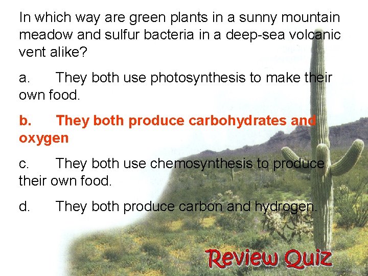 In which way are green plants in a sunny mountain meadow and sulfur bacteria