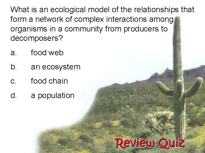 What is an ecological model of the relationships that form a network of complex