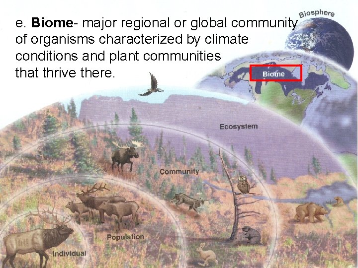 e. Biome- major regional or global community of organisms characterized by climate conditions and