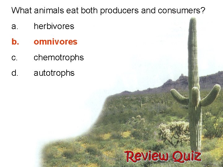 What animals eat both producers and consumers? a. herbivores b. omnivores c. chemotrophs d.