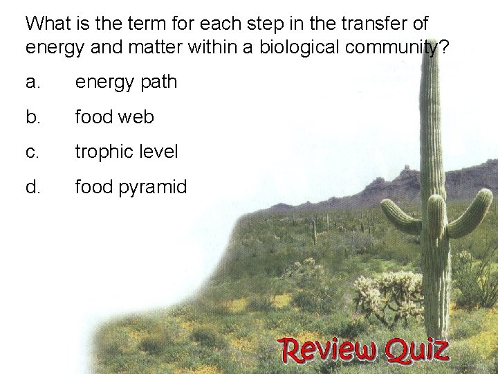 What is the term for each step in the transfer of energy and matter