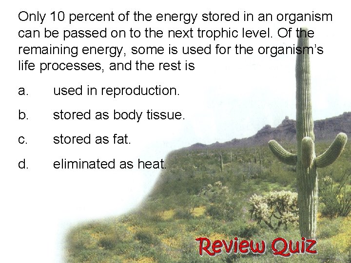 Only 10 percent of the energy stored in an organism can be passed on