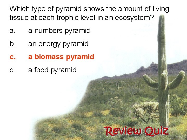 Which type of pyramid shows the amount of living tissue at each trophic level