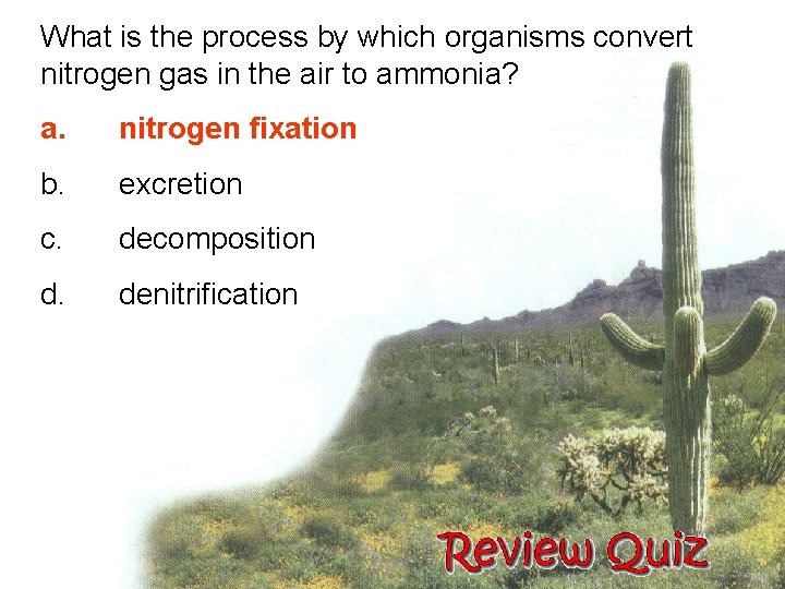 What is the process by which organisms convert nitrogen gas in the air to