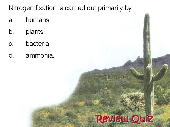 Nitrogen fixation is carried out primarily by a. humans. b. plants. c. bacteria. d.