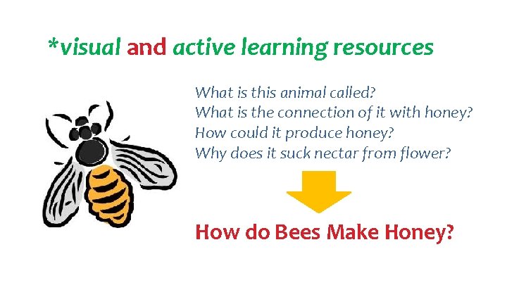 *visual and active learning resources What is this animal called? What is the connection *visual and active learning resources What is this animal called? What is the connection