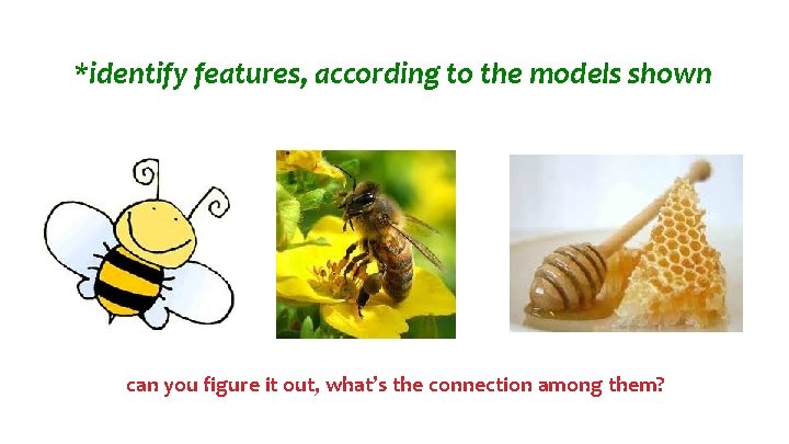 *identify features, according to the models shown can you figure it out, what’s the *identify features, according to the models shown can you figure it out, what’s the