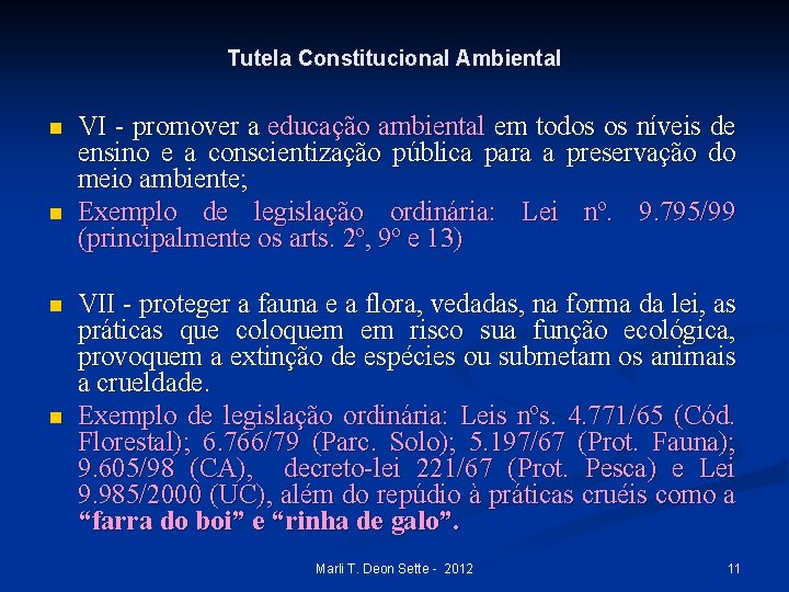 Tutela Constitucional Ambiental n n VI - promover a educação ambiental em todos os