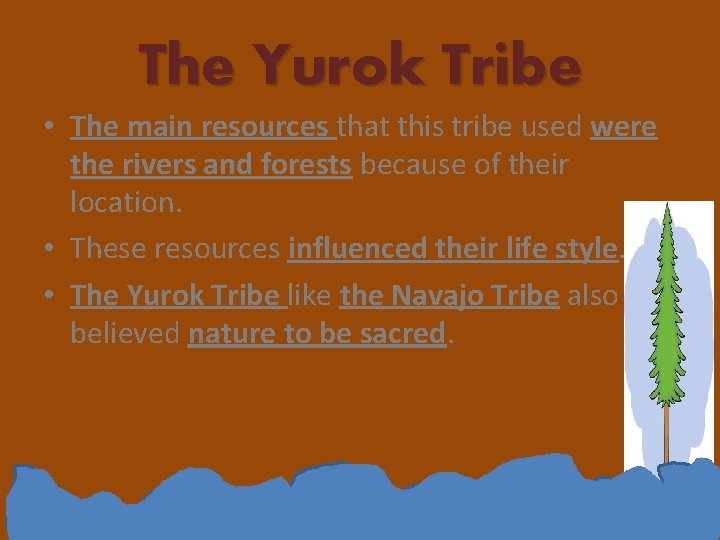 The Yurok Tribe • The main resources that this tribe used were the rivers