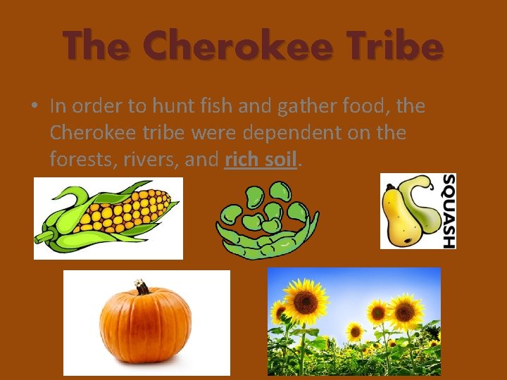 The Cherokee Tribe • In order to hunt fish and gather food, the Cherokee