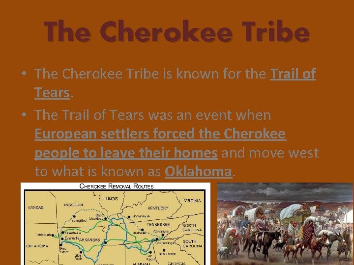 The Cherokee Tribe • The Cherokee Tribe is known for the Trail of Tears.