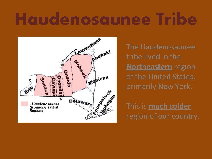 Haudenosaunee Tribe The Haudenosaunee tribe lived in the Northeastern region of the United States,