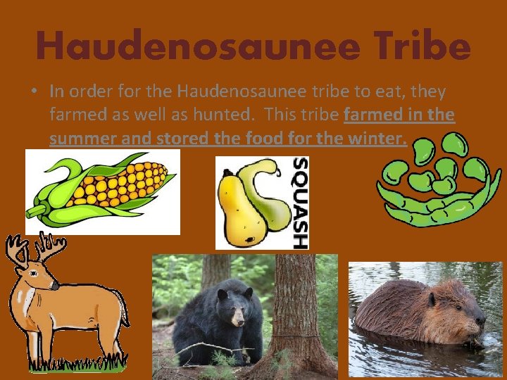 Haudenosaunee Tribe • In order for the Haudenosaunee tribe to eat, they farmed as