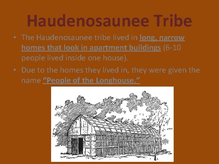 Haudenosaunee Tribe • The Haudenosaunee tribe lived in long, narrow homes that look in