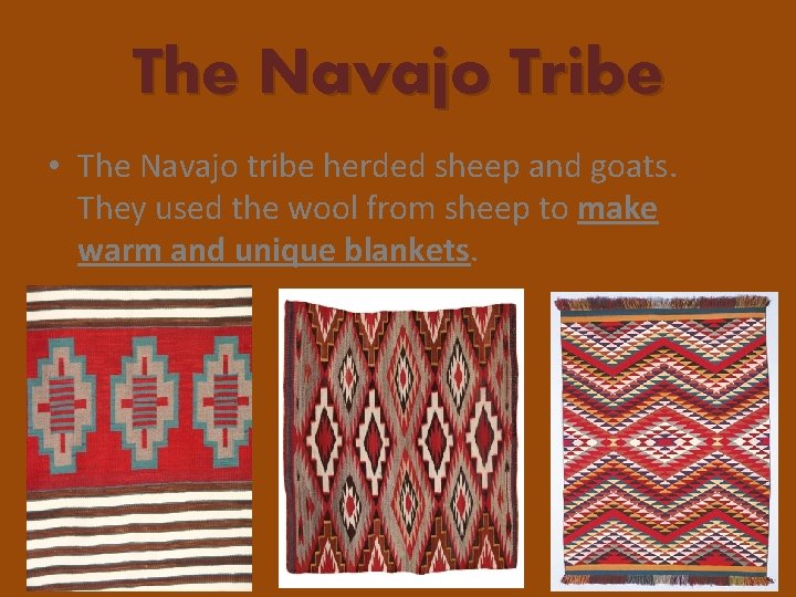 The Navajo Tribe • The Navajo tribe herded sheep and goats. They used the