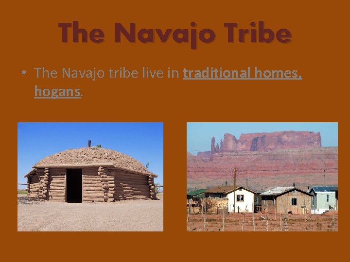 The Navajo Tribe • The Navajo tribe live in traditional homes, hogans. 