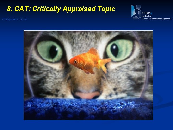 8. CAT: Critically Appraised Topic Postgraduate Course 