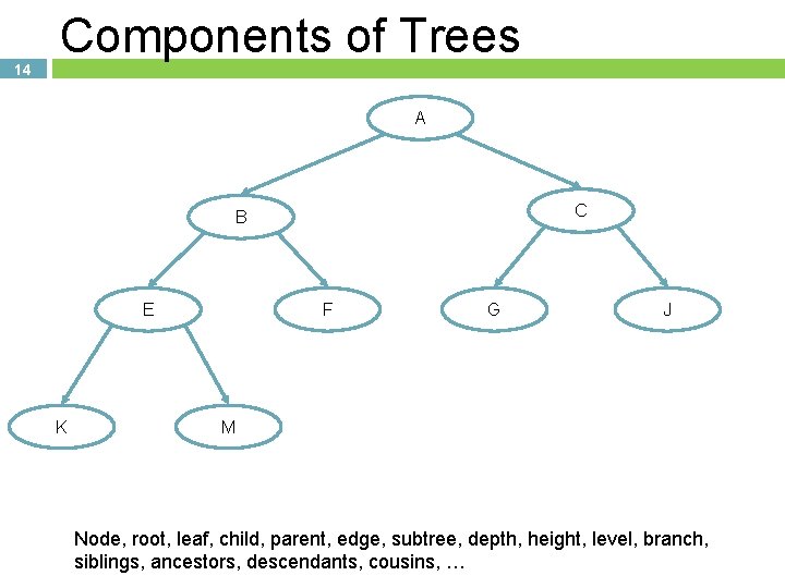 14 Components of Trees A C B E K F G J M Node,