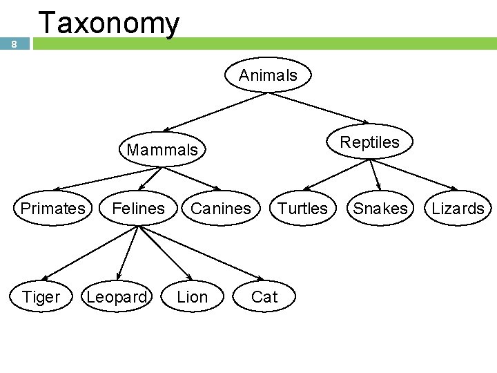 8 Taxonomy Animals Reptiles Mammals Primates Tiger Felines Leopard Canines Lion Cat Turtles Snakes