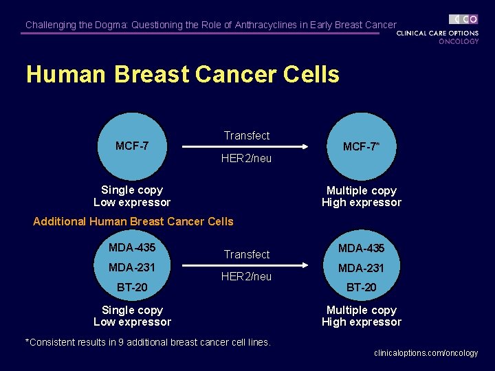 Challenging the Dogma: Questioning the Role of Anthracyclines in Early Breast Cancer Human Breast