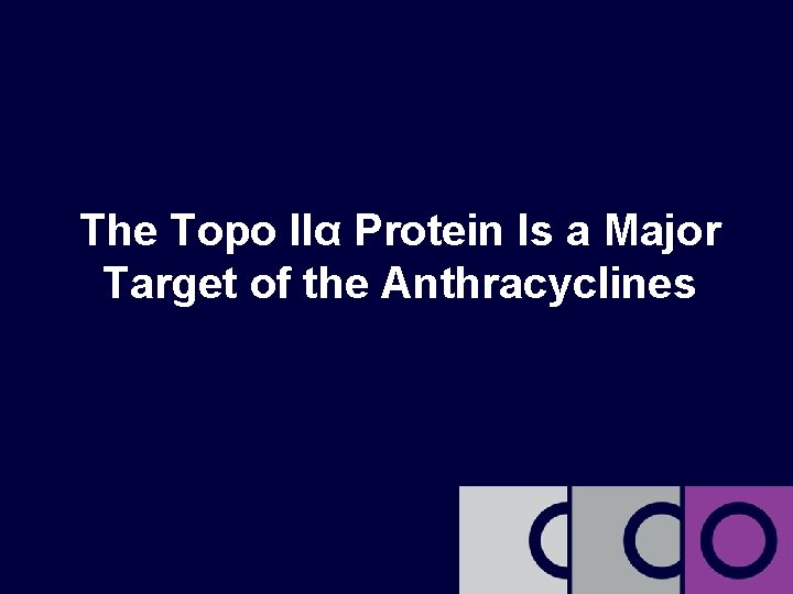 The Topo IIα Protein Is a Major Target of the Anthracyclines 