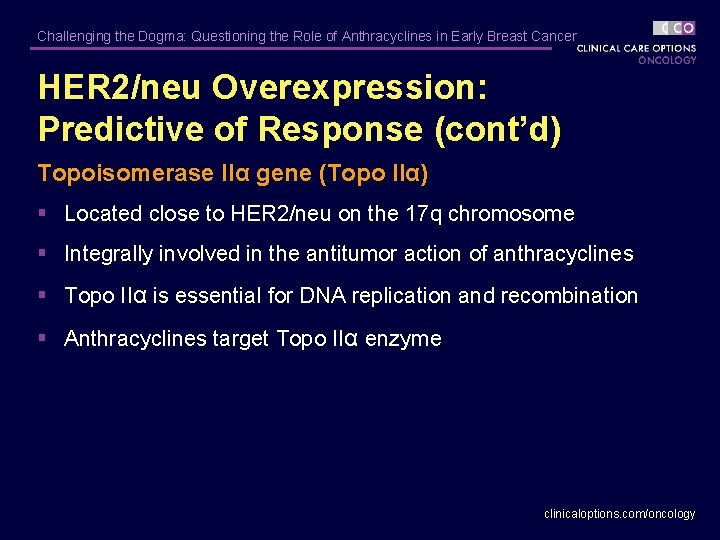 Challenging the Dogma: Questioning the Role of Anthracyclines in Early Breast Cancer HER 2/neu