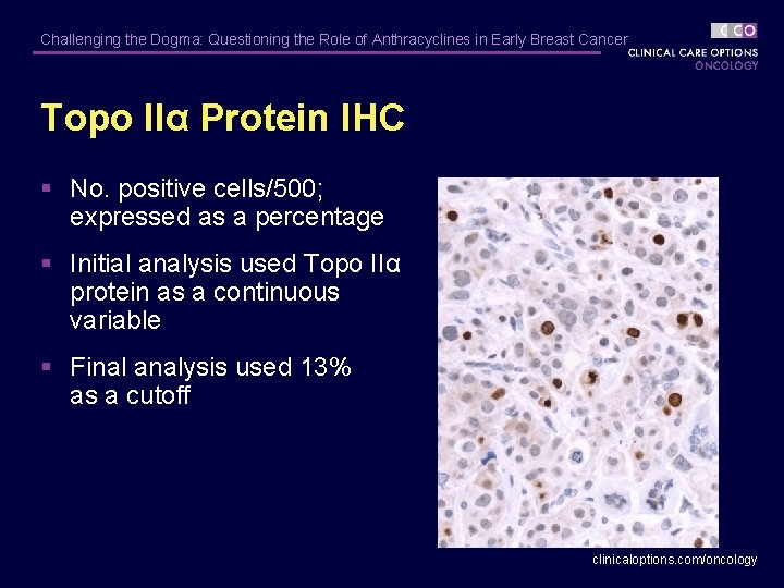 Challenging the Dogma: Questioning the Role of Anthracyclines in Early Breast Cancer Topo IIα