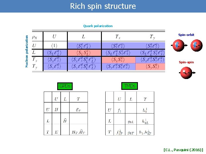Rich spin structure Quark polarization Nucleon polarization Spin-orbit Spin-spin GPDs TMDs [C. L. ,