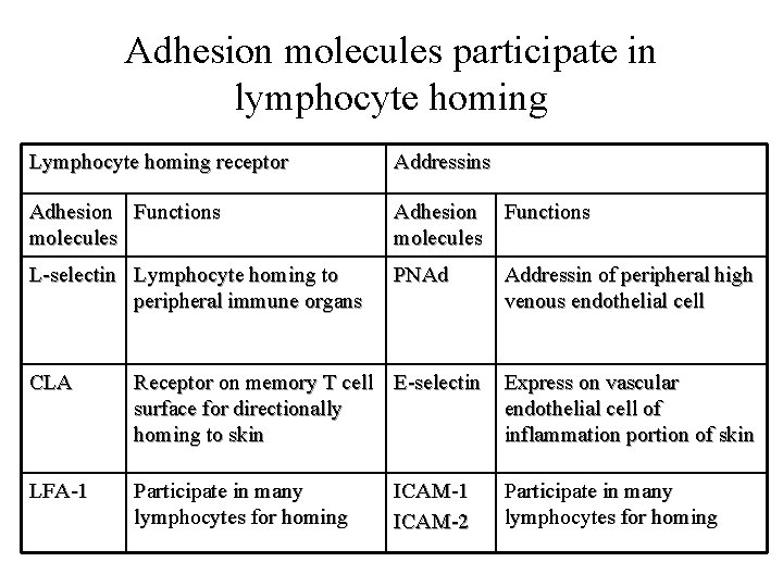 Adhesion molecules participate in lymphocyte homing Lymphocyte homing receptor Addressins Adhesion Functions molecules L-selectin