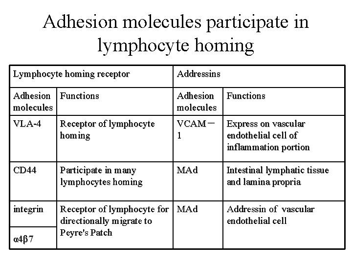 Adhesion molecules participate in lymphocyte homing Lymphocyte homing receptor Addressins Adhesion Functions molecules Adhesion