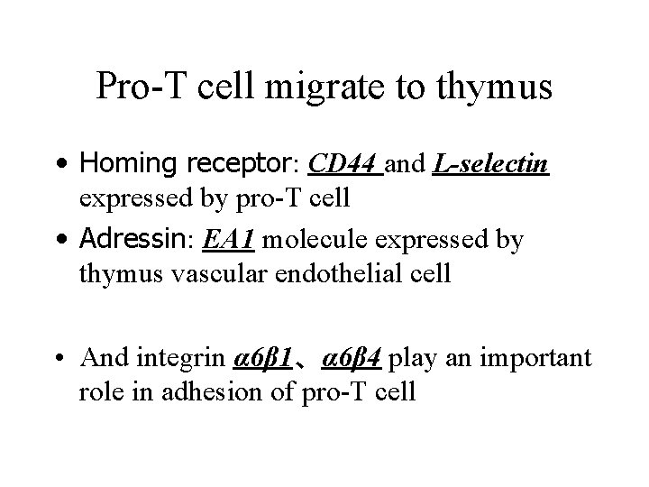 Pro-T cell migrate to thymus • Homing receptor: CD 44 and L-selectin expressed by