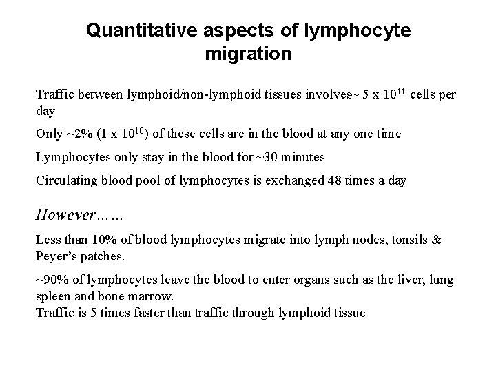 Quantitative aspects of lymphocyte migration Traffic between lymphoid/non-lymphoid tissues involves~ 5 x 1011 cells
