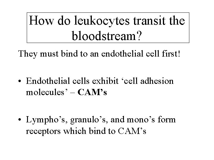 How do leukocytes transit the bloodstream? They must bind to an endothelial cell first!