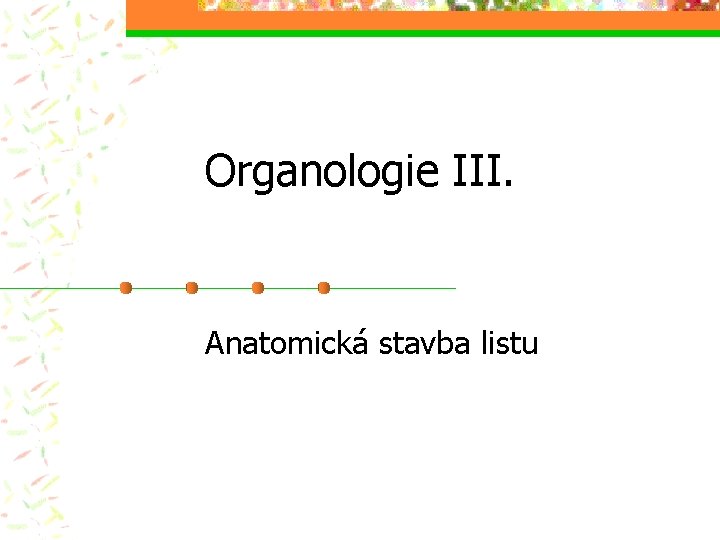 Organologie III. Anatomická stavba listu 