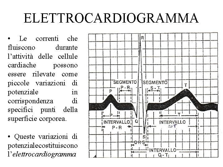 ELETTROCARDIOGRAMMA • Le correnti che fluiscono durante l’attività delle cellule cardiache possono essere rilevate