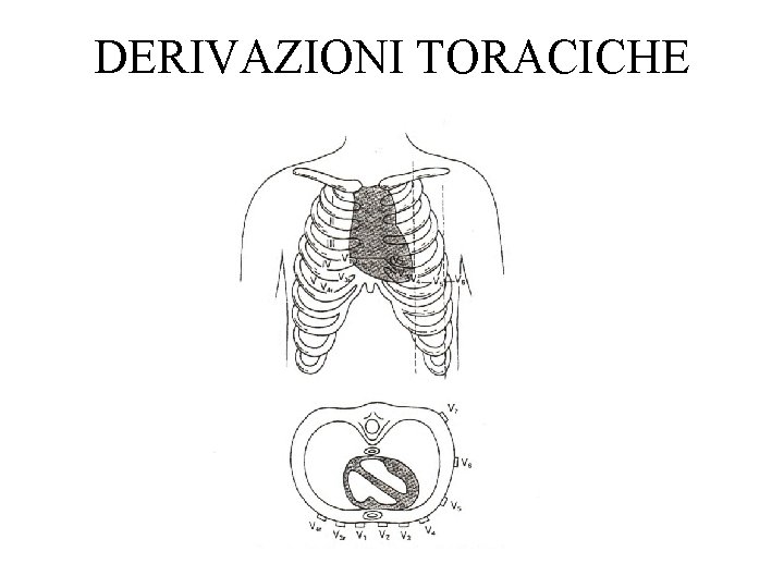 DERIVAZIONI TORACICHE 