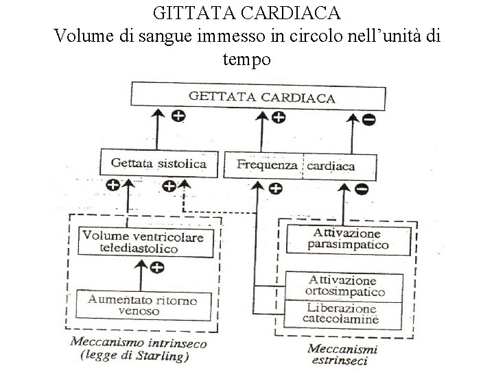 GITTATA CARDIACA Volume di sangue immesso in circolo nell’unità di tempo 