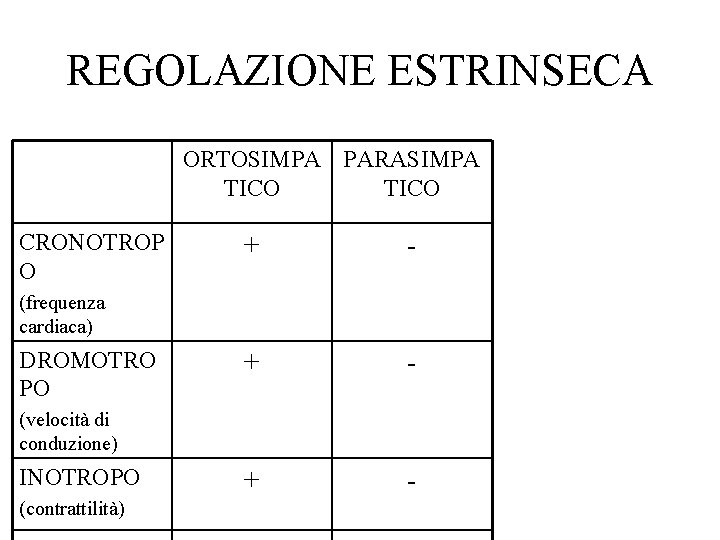 REGOLAZIONE ESTRINSECA ORTOSIMPA PARASIMPA TICO CRONOTROP O + - + - (frequenza cardiaca) DROMOTRO