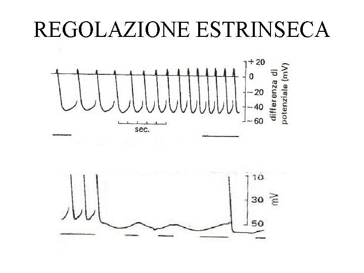 REGOLAZIONE ESTRINSECA 