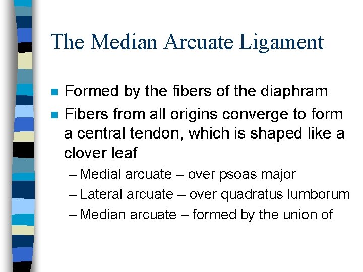 The Median Arcuate Ligament n n Formed by the fibers of the diaphram Fibers