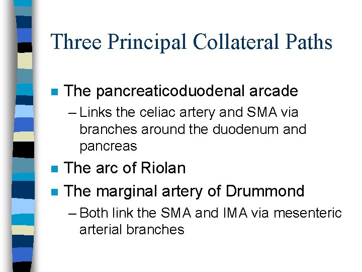 Three Principal Collateral Paths n The pancreaticoduodenal arcade – Links the celiac artery and