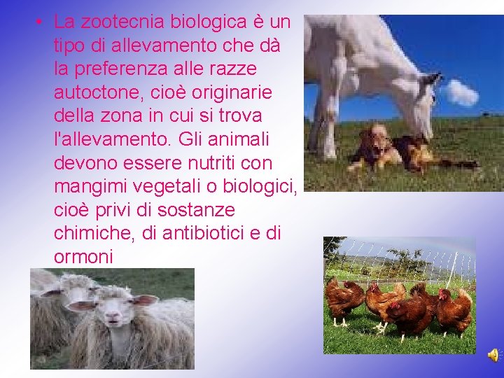 • La zootecnia biologica è un tipo di allevamento che dà la preferenza • La zootecnia biologica è un tipo di allevamento che dà la preferenza