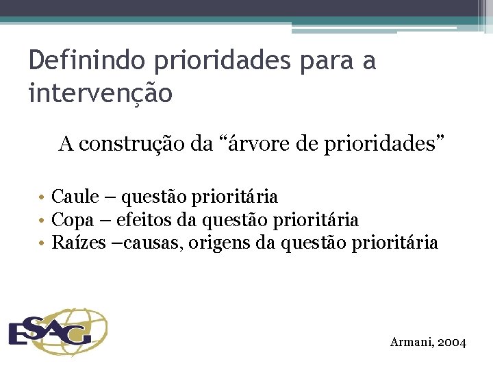 Definindo prioridades para a intervenção A construção da “árvore de prioridades” • Caule –