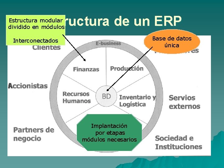 Estructura de un ERP Estructura modular dividido en módulos Base de datos única Interconectados