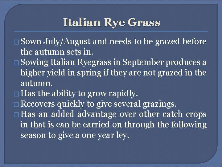 Italian Rye Grass � Sown July/August and needs to be grazed before the autumn