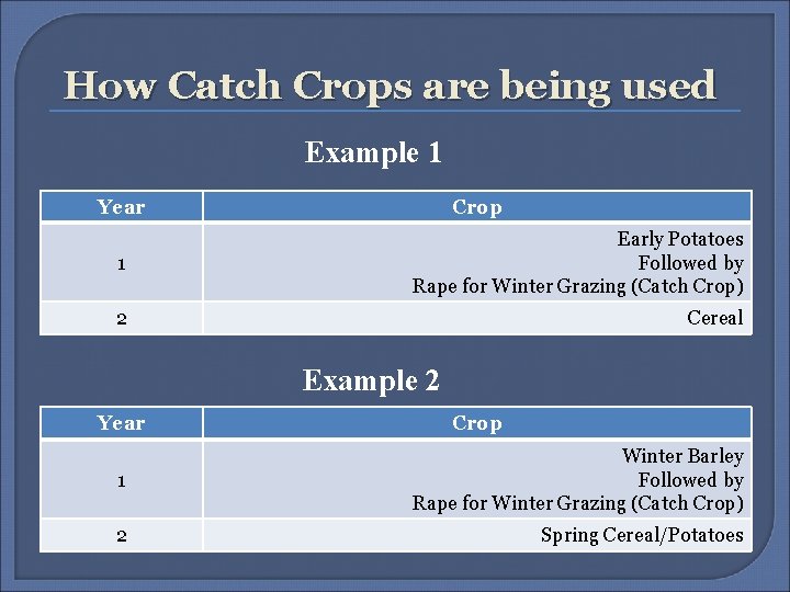  How Catch Crops are being used Example 1 Year Crop 1 Early Potatoes
