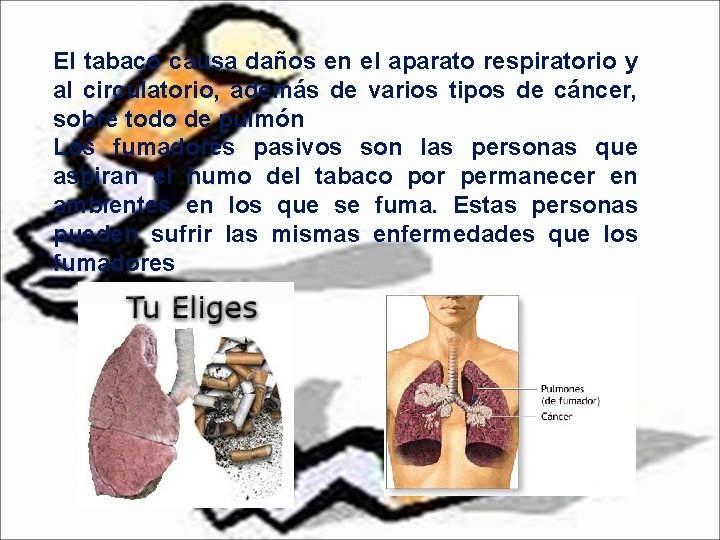 El tabaco causa daños en el aparato respiratorio y al circulatorio, además de varios