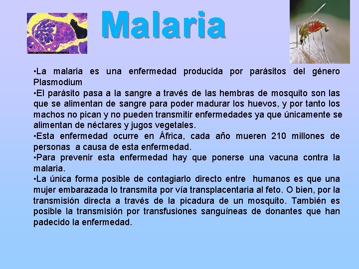 Malaria • La malaria es una enfermedad producida por parásitos del género Plasmodium •